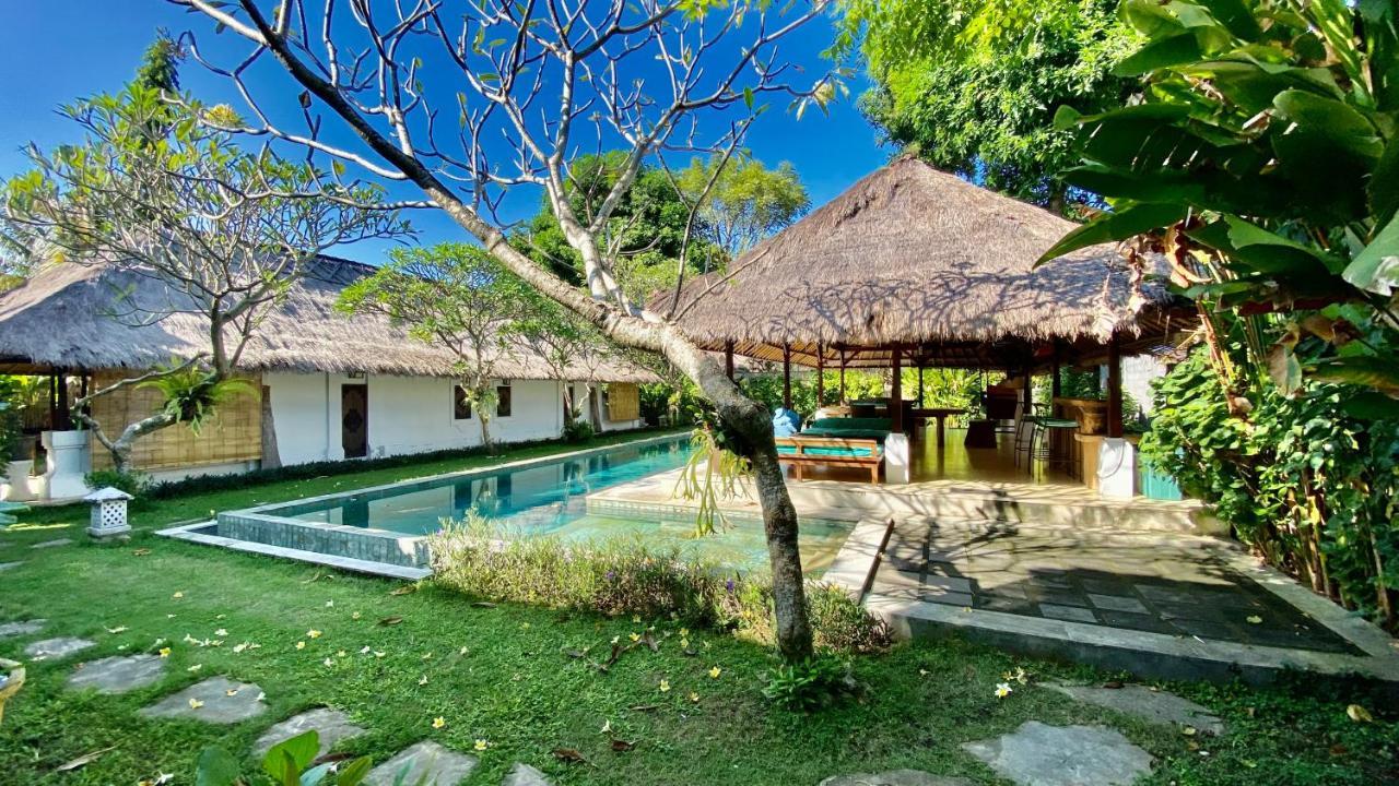 Blind Dog Auberge de jeunesse Sanur